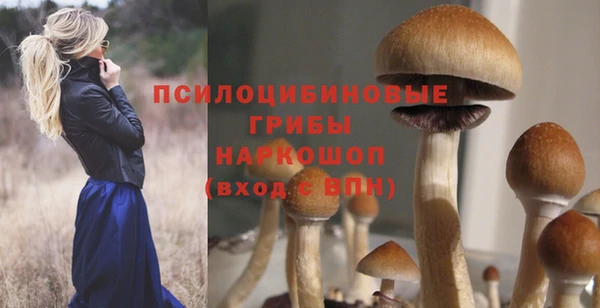 a pvp Армянск