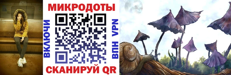 Псилоцибиновые грибы Psilocybine cubensis  Тула 
